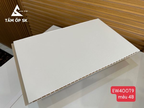 Tấm Nano SK Vân Đá – EW400T9 – Màu 4B - 1 10